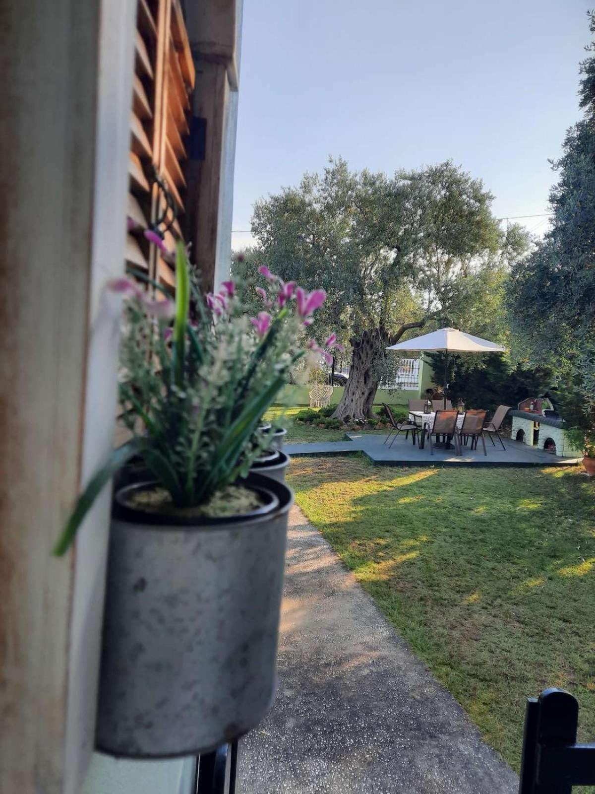 Villa Elia 스칼라소티로스 외부 사진