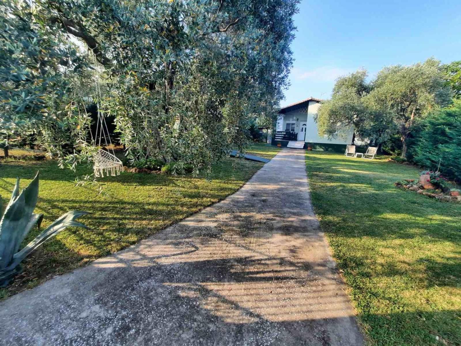 Villa Elia 스칼라소티로스 외부 사진