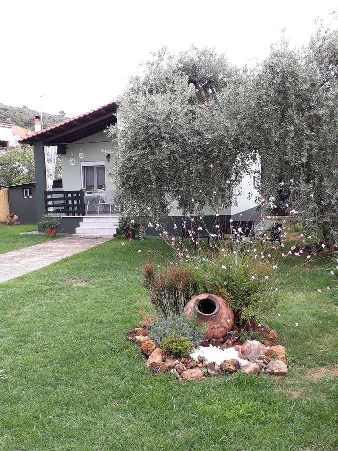 Villa Elia 스칼라소티로스 외부 사진